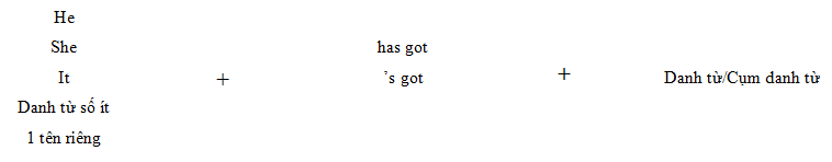 Cấu trúc Have got/Has got chỉ sự sở hữu - Luyện thi Starters theo chủ đề ngữ pháp 4