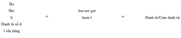 Cấu trúc Have got/Has got chỉ sự sở hữu - Luyện thi Starters theo chủ đề ngữ pháp 5