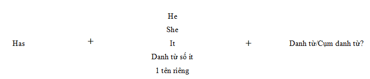 Cấu trúc Have got/Has got chỉ sự sở hữu - Luyện thi Starters theo chủ đề ngữ pháp 6