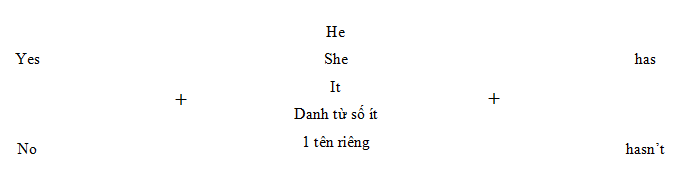 Cấu trúc Have got/Has got chỉ sự sở hữu - Luyện thi Starters theo chủ đề ngữ pháp 7