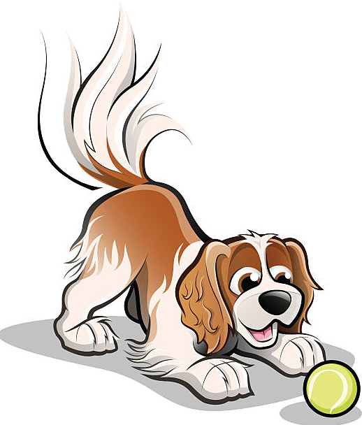 Cấu trúc There is/There are. Mạo từ - Luyện thi Starters theo chủ đề ngữ pháp 3