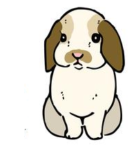 Cấu trúc There is/There are. Mạo từ - Luyện thi Starters theo chủ đề ngữ pháp 4