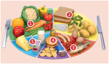 CLIL – Unit 5. Food and heath – Tiếng Anh 6 – Friends Plus 3 1