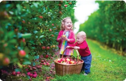 Communication – Unit 9. Cities of the world – Tiếng Anh 6 – Global Success 1 1