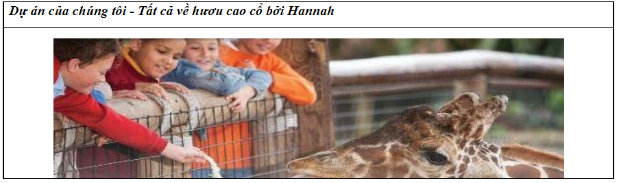 Cumulative Review: Starter unit -Unit 4 - SBT Tiếng Anh 6 - Friends Plus (Chân trời sáng tạo) 0 2