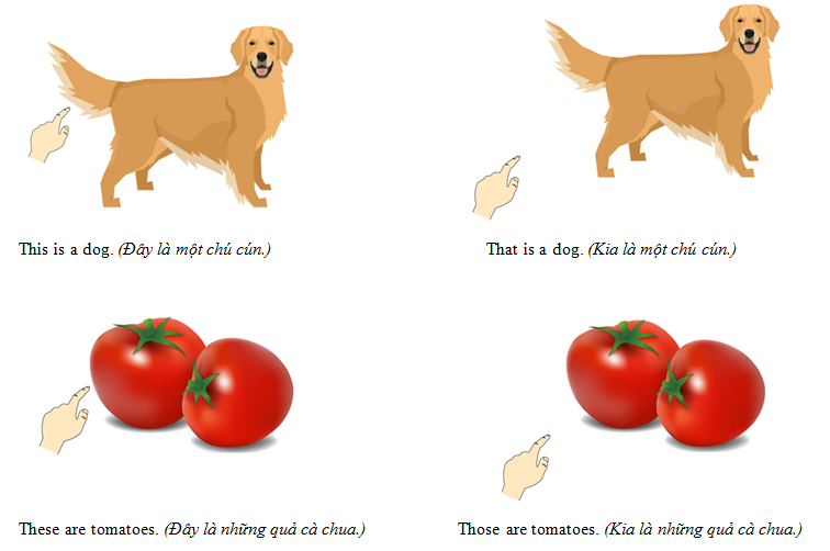 Đại từ hạn định chỉ định - Luyện thi Starters theo chủ đề ngữ pháp 3