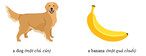 Danh từ số ít, số nhiều, đếm được, không đếm được - Luyện thi Starters theo chủ đề ngữ pháp 2