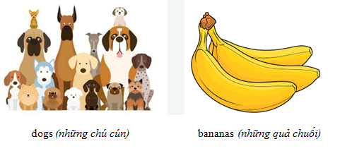 Danh từ số ít, số nhiều, đếm được, không đếm được - Luyện thi Starters theo chủ đề ngữ pháp 3