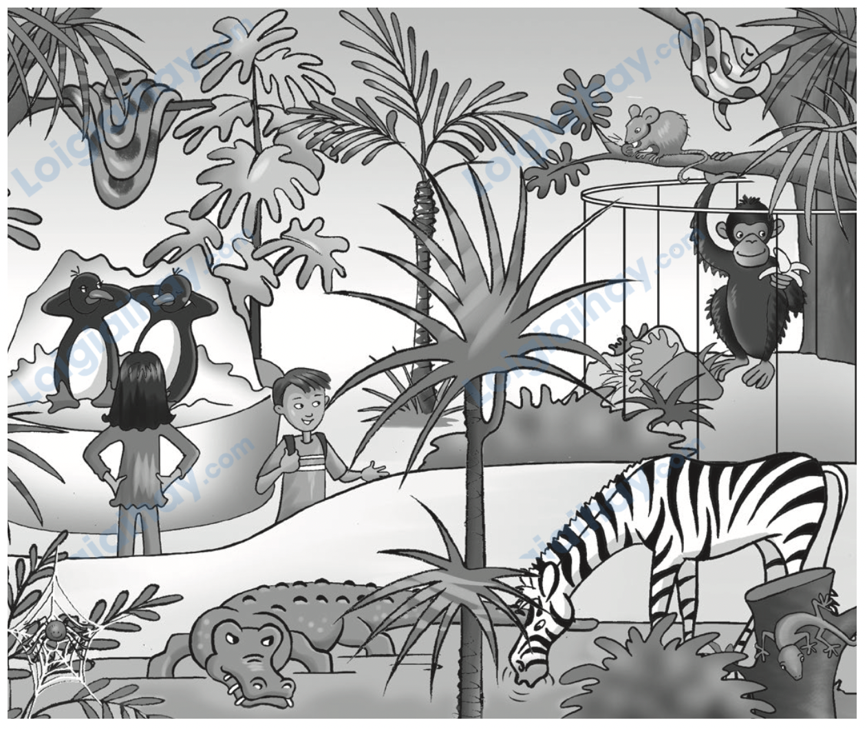 Đề cương ôn tập học kì 1 Tiếng Anh 4 - Family and Friends 1