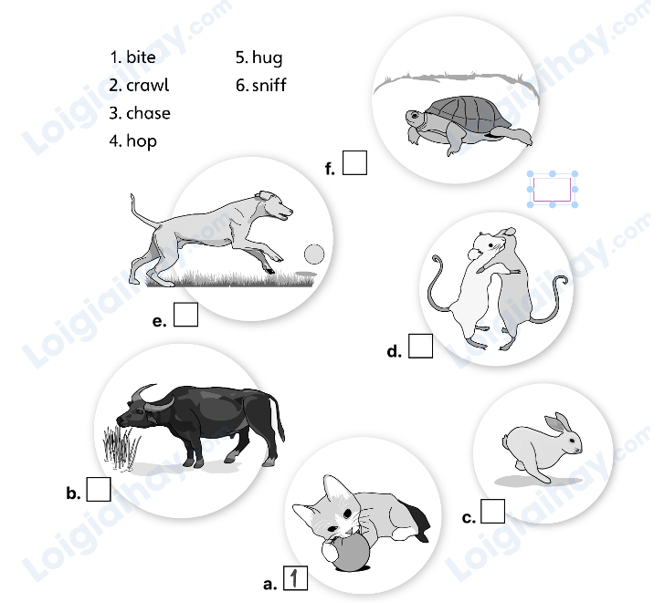 Đề cương ôn tập học kì 2 Tiếng Anh 4 - Explore Our World 1