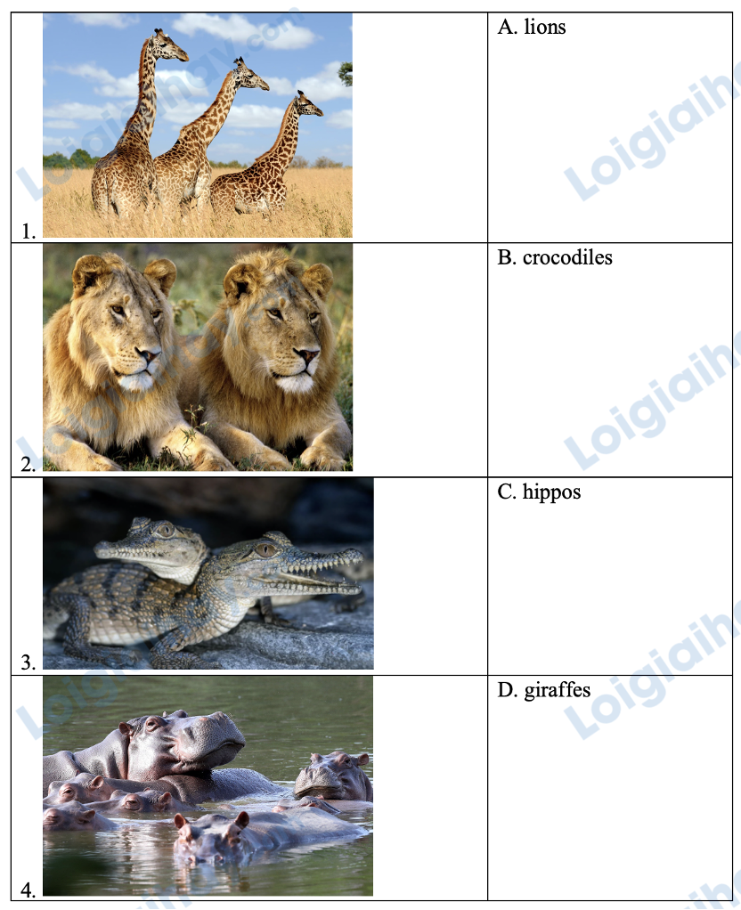 Đề cương ôn tập học kì 2 Tiếng Anh 4 - Global Success 2