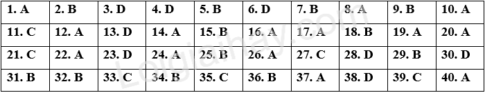 Đề minh họa THPT môn Anh năm 2025 có lời giải 1 1