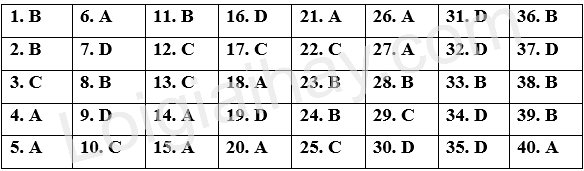 Đề tham khảo thi THPT môn Anh - Đề số 1 (hay, chi tiết) 1 1