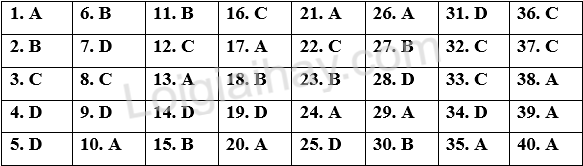 Đề tham khảo thi THPT môn Anh - Đề số 10 (hay, chi tiết) 1 1