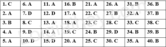 Đề tham khảo thi THPT môn Anh - Đề số 2 (hay, chi tiết) 1 1