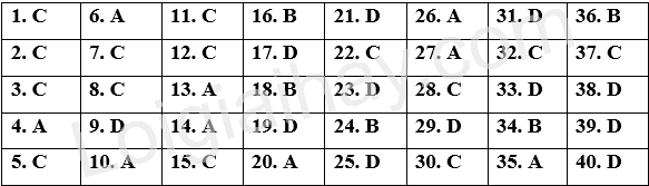 Đề tham khảo thi THPT môn Anh - Đề số 3 (hay, chi tiết) 1 1
