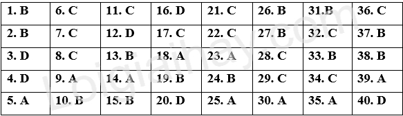 Đề tham khảo thi THPT môn Anh - Đề số 5 (hay, chi tiết) 1 1