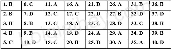Đề tham khảo thi THPT môn Anh - Đề số 6 (hay, chi tiết) 1 1