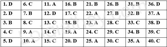 Đề tham khảo thi THPT môn Anh - Đề số 8 (hay, chi tiết) 1 1