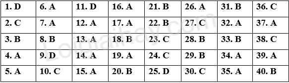 Đề tham khảo thi THPT môn Anh - Đề số 9 (hay, chi tiết) 1 1