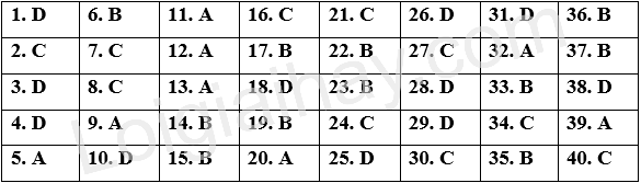 Đề tham khảo thi vào 10 môn Anh Hà Nội năm 2025 - Đề số 1 1 1
