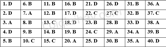 Đề tham khảo thi vào 10 môn Anh Hà Nội năm 2025 - Đề số 10 1 1