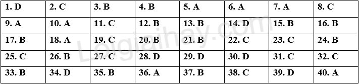 Đề tham khảo thi vào 10 môn Anh Hà Nội năm 2025 - Đề số 11 1 1