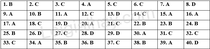 Đề tham khảo thi vào 10 môn Anh Hà Nội năm 2025 - Đề số 13 1 1