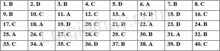 Đề tham khảo thi vào 10 môn Anh Hà Nội năm 2025 - Đề số 15 1 1