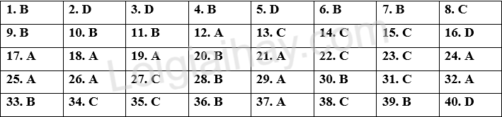 Đề tham khảo thi vào 10 môn Anh Hà Nội năm 2025 - Đề số 16 1 1