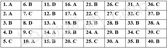 Đề tham khảo thi vào 10 môn Anh Hà Nội năm 2025 - Đề số 2 1 1