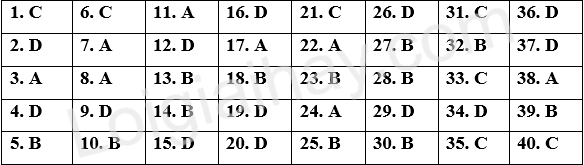 Đề tham khảo thi vào 10 môn Anh Hà Nội năm 2025 - Đề số 3 1 1