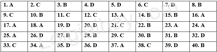 Đề tham khảo thi vào 10 môn Anh Hà Nội năm 2025 - Đề số 5 1 1