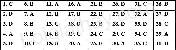 Đề tham khảo thi vào 10 môn Anh Hà Nội năm 2025 - Đề số 6 1 1