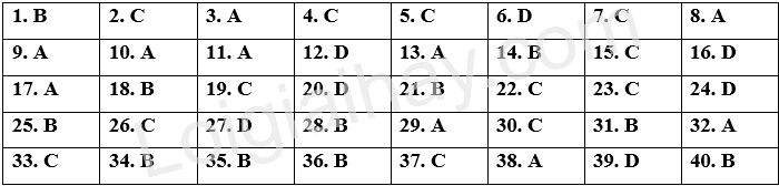 Đề tham khảo thi vào 10 môn Anh Hà Nội năm 2025 - Đề số 7 1 1