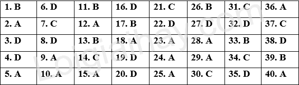 Đề tham khảo thi vào 10 môn Anh Hà Nội năm 2025 - Đề số 9 1 1