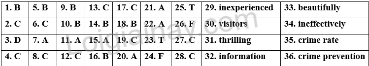Đề tham khảo thi vào 10 môn Anh Thành phố Hồ Chí Minh năm 2025 - Đề số 10 1 1