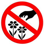 Đề tham khảo thi vào 10 môn Anh Thành phố Hồ Chí Minh năm 2025 - Đề số 17 0 1