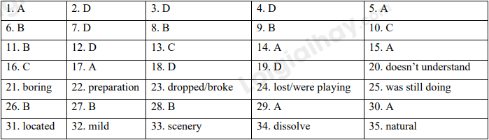 Đề thi giữa kì 1 Tiếng Anh 10 Friends Global - Đề số 3 1 1