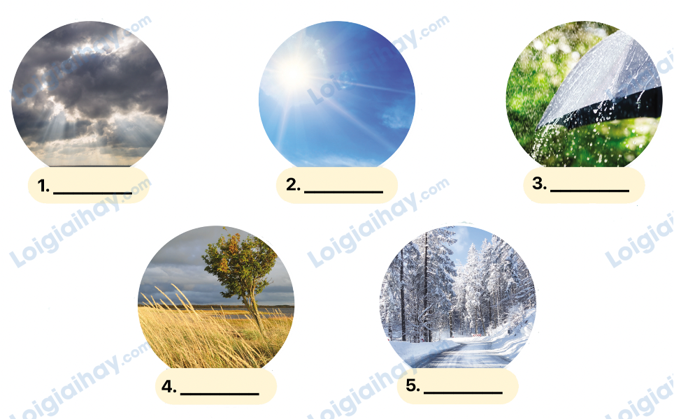 Đề thi giữa kì 1 Tiếng Anh 4 Explore Our World - Đề số 3 0 1