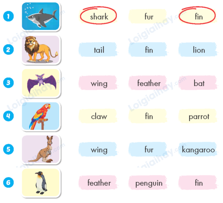 Đề thi giữa kì 1 Tiếng Anh 4 iLearn Smart Start - Đề số 3 0 1