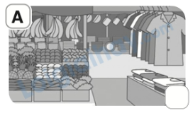 Đề thi giữa kì 1 Tiếng Anh 5 Family and Friends - Đề số 4 0 10