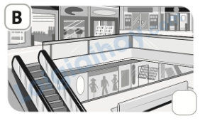 Đề thi giữa kì 1 Tiếng Anh 5 Family and Friends - Đề số 4 1 2