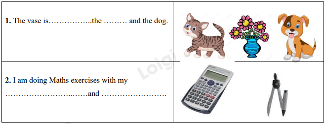 Đề thi giữa kì 1 Tiếng Anh 6 Global Success - Đề số 1 0 1