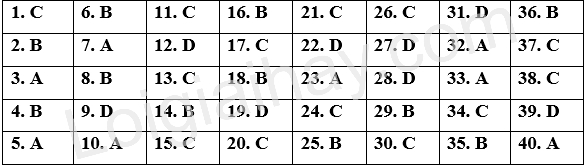Đề thi giữa kì 2 Tiếng Anh 11 Friends Global - Đề số 6 1 1