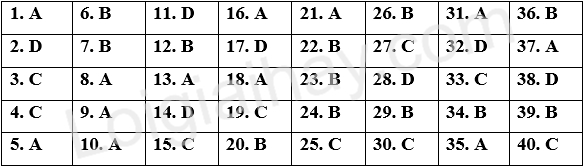 Đề thi giữa kì 2 Tiếng Anh 11 Global Success - Đề số 6 1 1