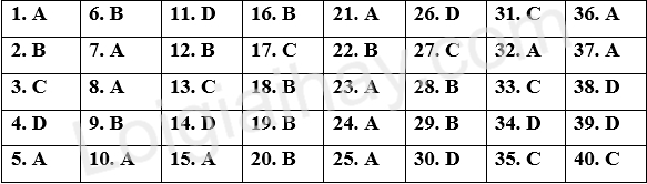 Đề thi giữa kì 2 Tiếng Anh 11 iLearn Smart World - Đề số 6 1 1
