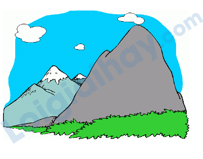 Đề thi giữa kì 2 Tiếng Anh 4 Global Success - Đề số 1 0 12