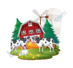 Đề thi giữa kì 2 Tiếng Anh 4 Global Success - Đề số 2 0 4