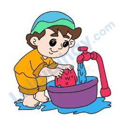 Đề thi giữa kì 2 Tiếng Anh 4 Global Success - Đề số 2 1 9